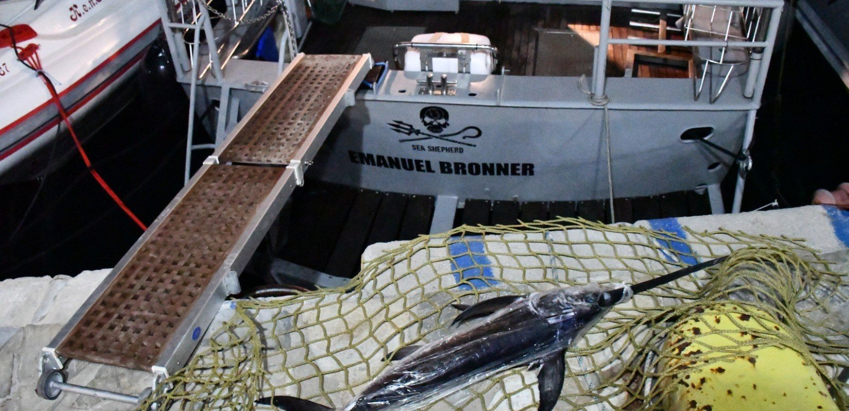 Μικρός ξιφίας στα δίχτυα ψαράδων στην Αλόννησο - Επιβλήθηκαν κυρώσεις