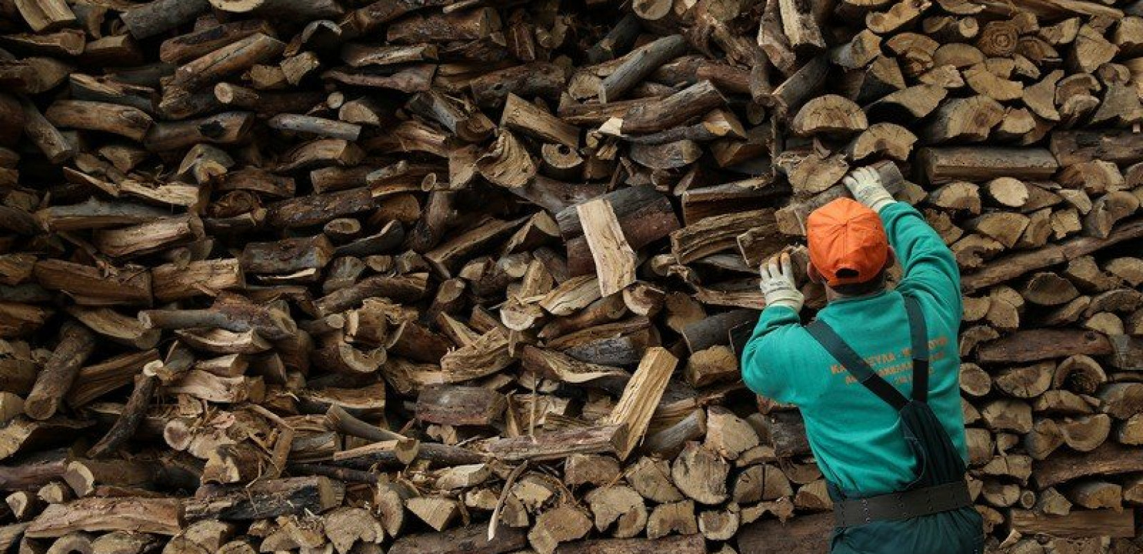Χαλκιδική: Καταπλακώθηκε από κορμό δέντρου προσπαθώντας να κόψει ξύλα - Nεκρός 79χρονος