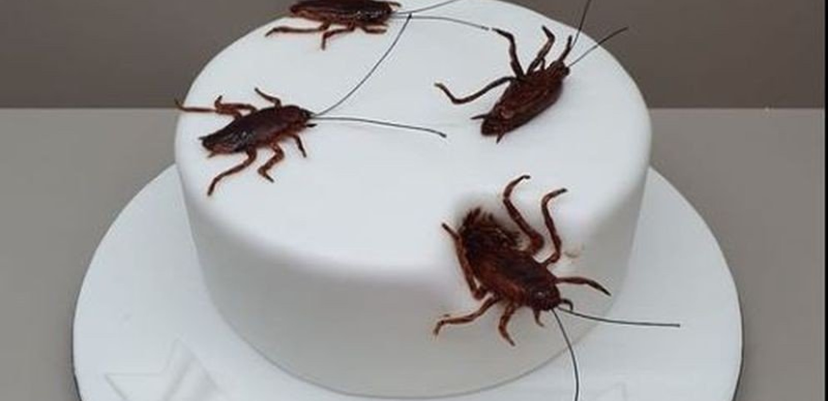 Ζαχαροπλαστείο την Κόρινθο έφτιαξε τούρτα με... κατσαρίδες και ξεπουλάει! 