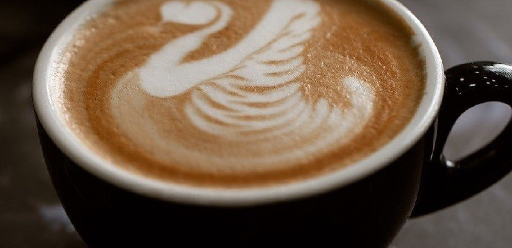 Στο Coffee Garden ο καφές… ανθίζει