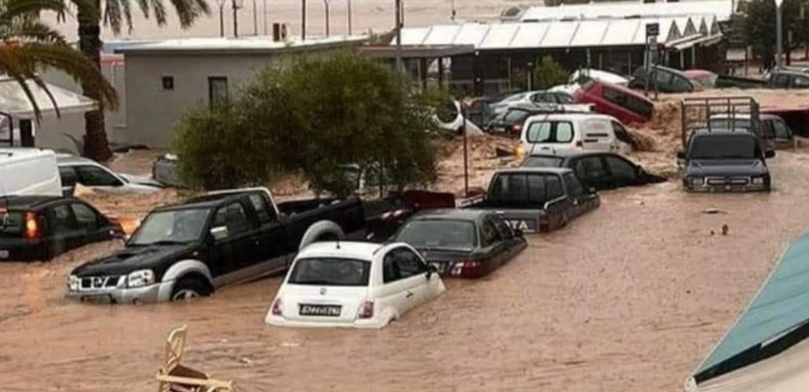 Στέργιος Καλπάκης: "Οι ευθύνες είναι τεράστιες και είναι πολύ συγκεκριμένες"
