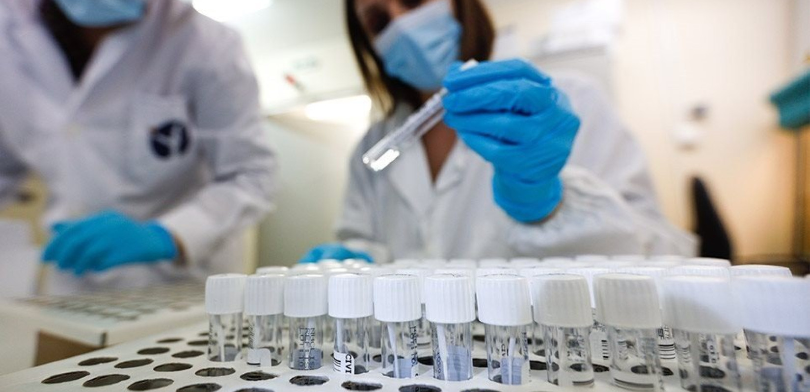 Έρευνα: Μύκητας που μπορεί να μας «φάει από μέσα προς τα έξω» ενδέχεται να εξαπλωθεί λόγω υπερθέρμανσης του πλανήτη