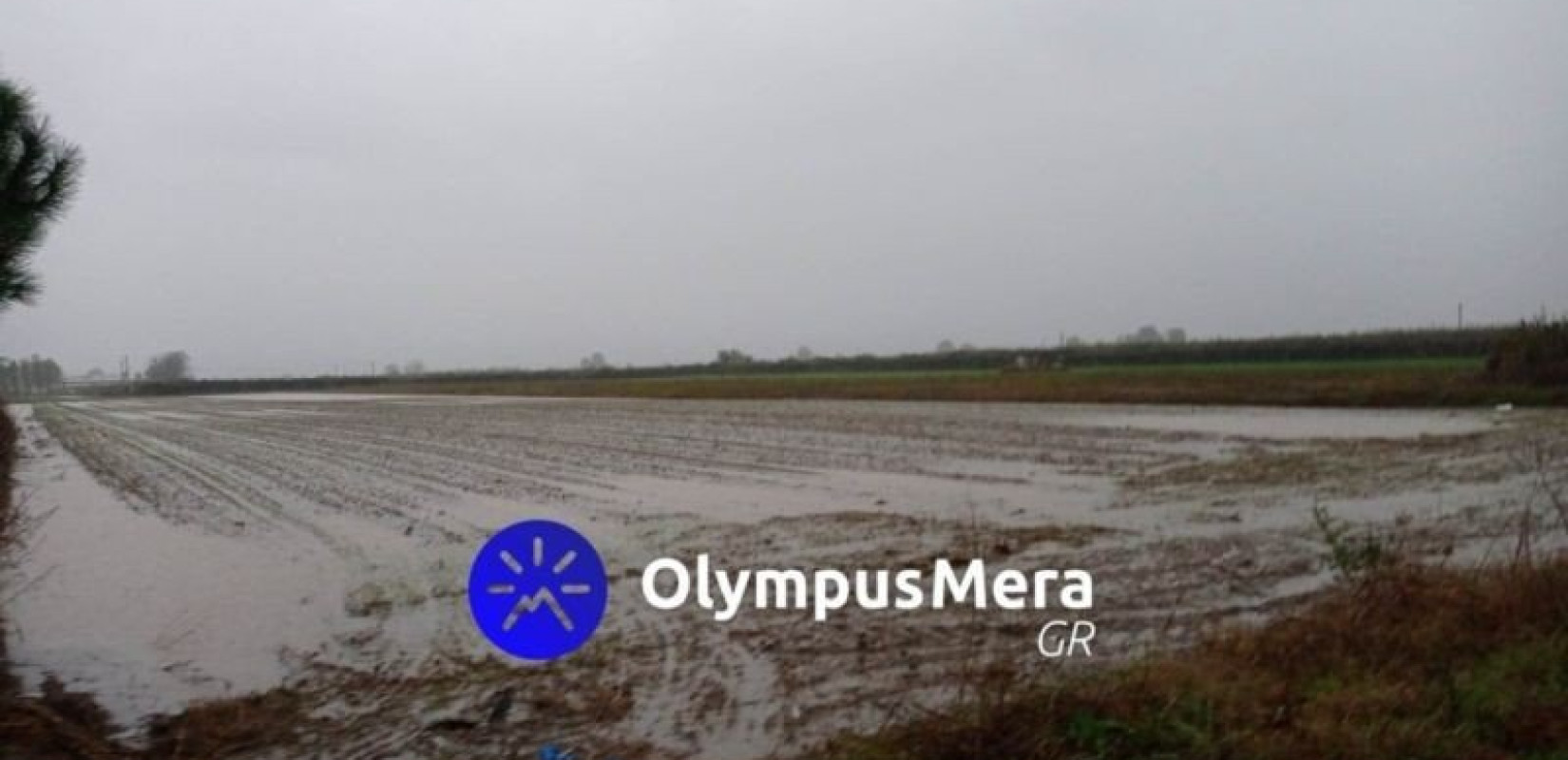 Πιερία: Να αποζημιωθούν άμεσα οι πληγέντες από την «Άριελ», ζητά ο πρόεδρος του Επιμελητηρίου Πιερία: Να αποζημιωθούν άμεσα οι πληγέντες από την «Άριελ», ζητά ο πρόεδρος του Επιμελητηρίου