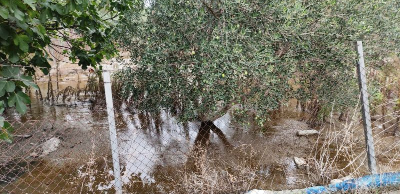 Διαβατά: Ανδρόγυνο έριχνε ανεξέλεγκτα απόβλητα της επιχείρησής του σε γειτονικά χωράφια (φωτ.)