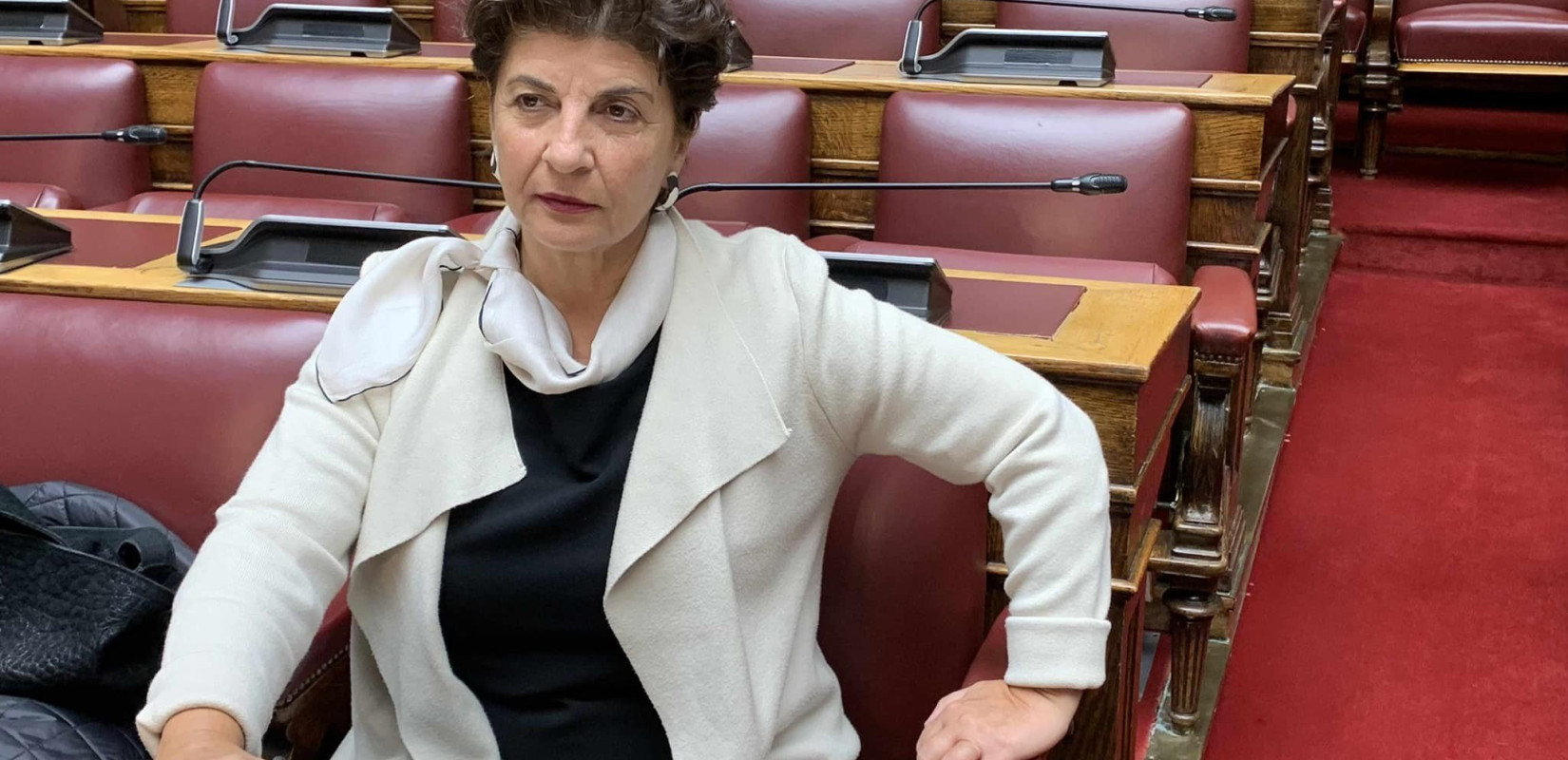 Χαλκιδική: Στη Βουλή το θέμα της μαθητικής κατασκήνωσης στη Μεταμόρφωση