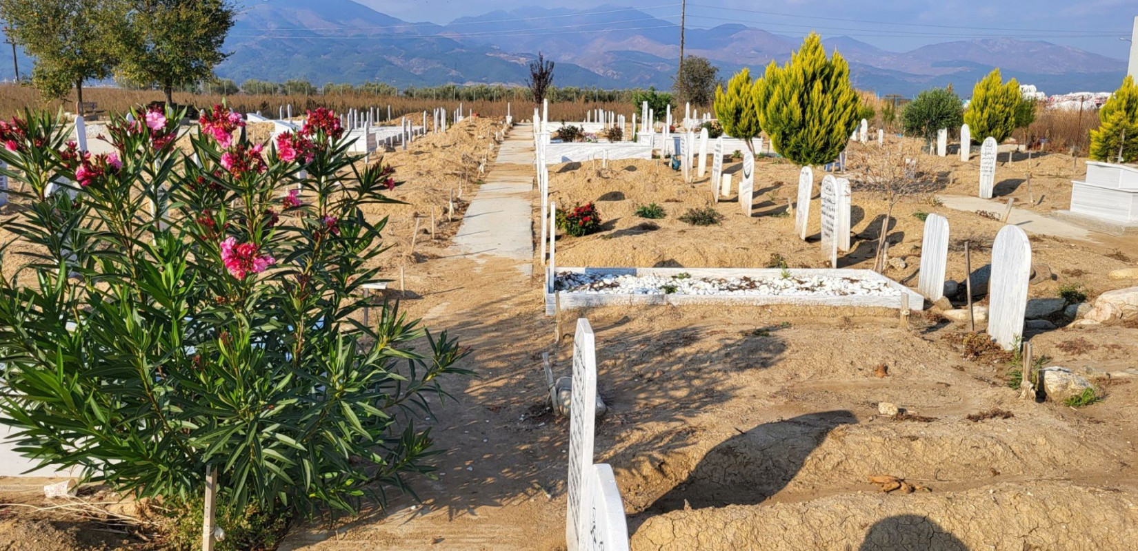 Αύξηση κατά 3,5% σημείωσαν οι θάνατοι στη χώρα, τις πρώτες 14 εβδομάδες εφέτος ανακοίνωσε η ΕΛΣΤΑΤ