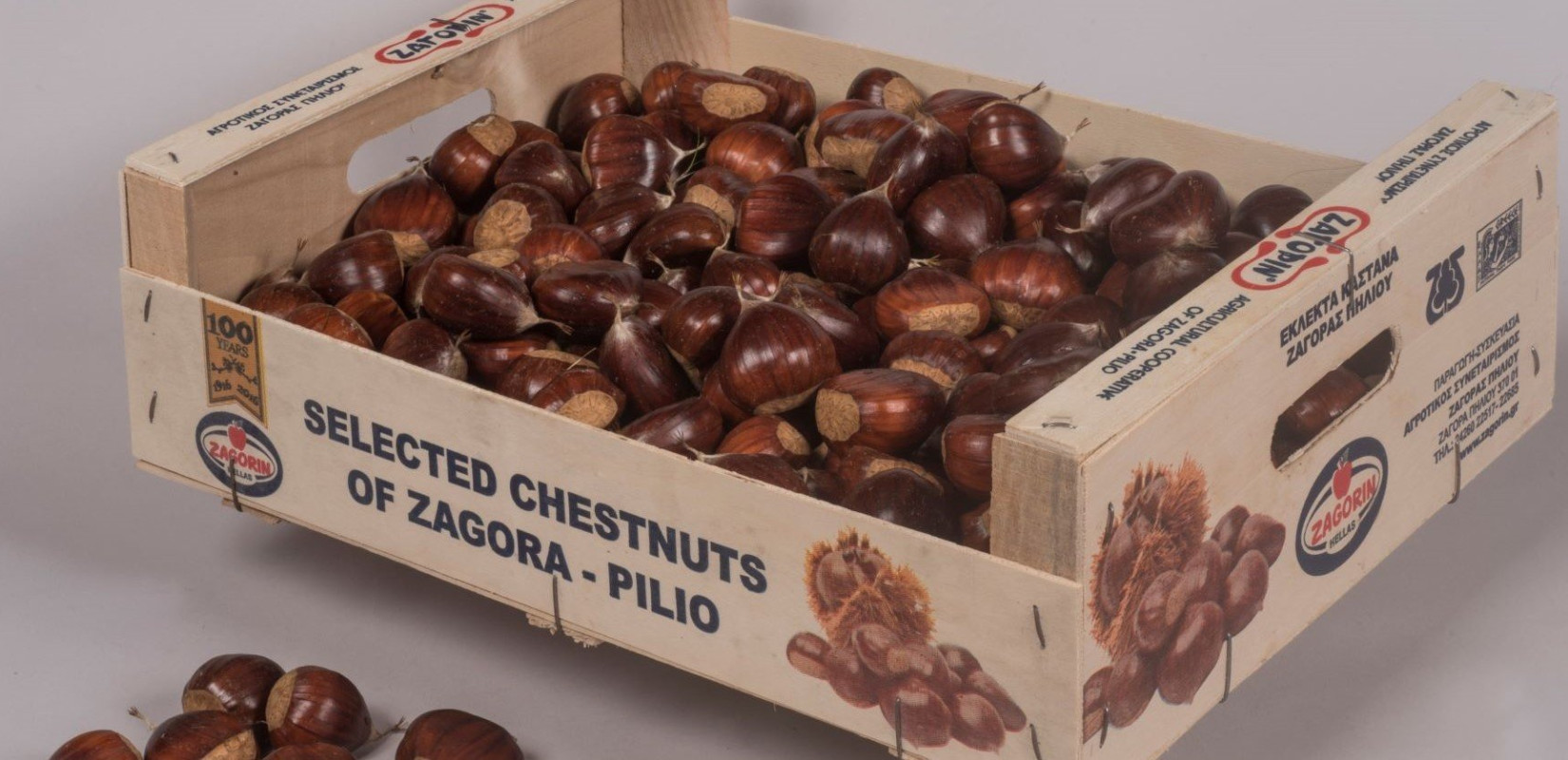 ZAΓΟΡΙΝ: Ενέργειες για κατοχύρωση Π.Ο.Π. στα κάστανα του Πηλίου