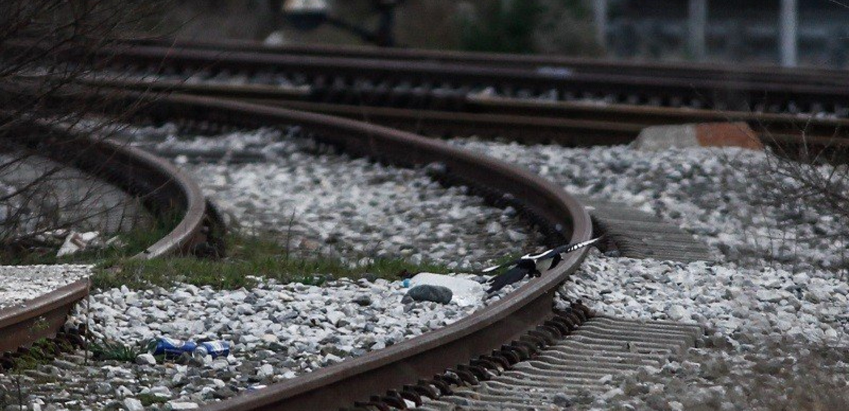 Θεσσαλονίκη: Πυρκαγιά στα Διαβατά - Καθυστερήσεις στα δρομολόγια των τρένων
