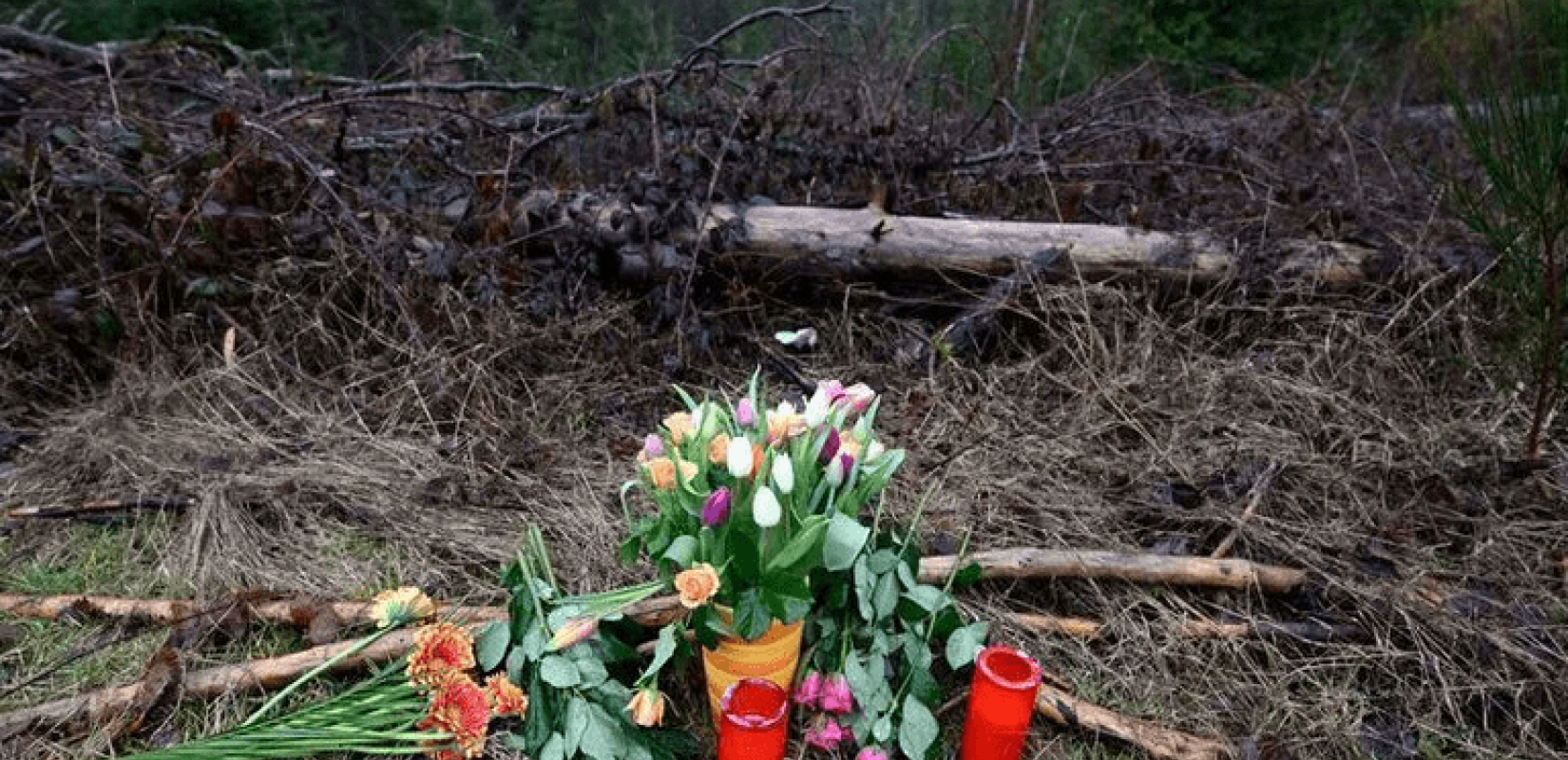 Φρικτό τέλος στην εξαφάνιση 12χρονης στη Γερμανία: Τη σκότωσαν 2 φίλες της 12 και 13 ετών (βίντεο)