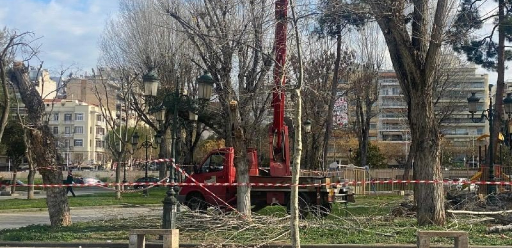 «Θεσσαλονίκη για Όλους»: Μετά τη δενδροκτονία ήρθαν και οι συλλήψεις – Ντροπή κ. Δήμαρχε!