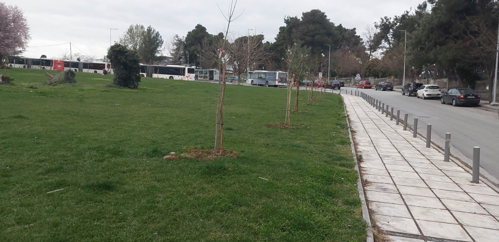 Θεσσαλονίκη: 50 δέντρα στη Νέα Ελβετία για εκείνους που έφυγαν – Εγκαινιάζεται το «Πάρκο Αναμνήσεων»