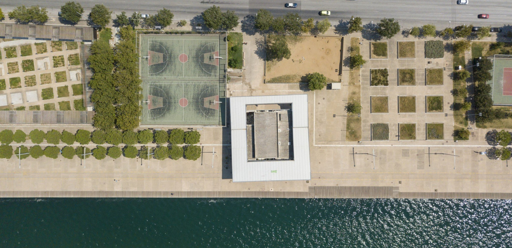 Θεσσαλονίκη: Χίλια διακόσια νέα δέντρα φυτεύονται τις επόμενες ημέρες σε Νέα Παραλία και Σέιχ Σου