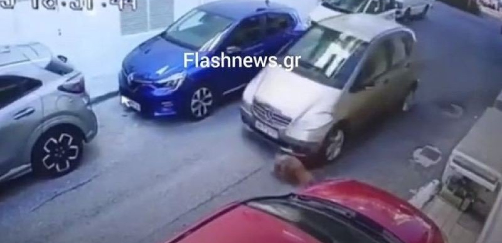 Κρήτη: Ελεύθερη με περιοριστικούς όρους η 63χρονη που πάτησε με το αυτοκίνητο σκύλο