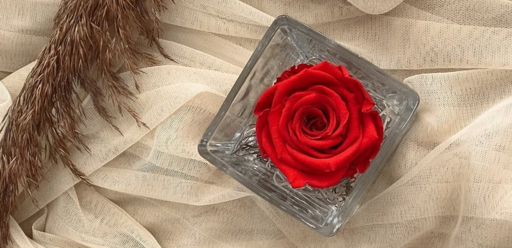 By KENTIA: Ένα ανθοπωλείο με φαντασία και άριστη τεχνογνωσία By KENTIA: Ένα ανθοπωλείο με φαντασία και άριστη τεχνογνωσία