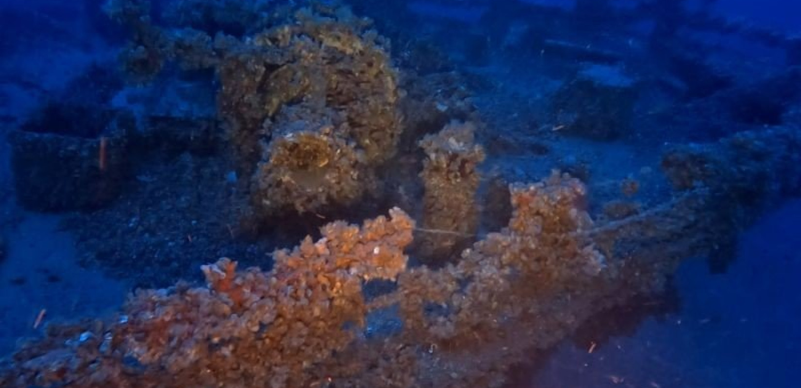 Σπάνιο ναυάγιο εντοπίστηκε στο Κάβο Ντόρο - Η τραγική ιστορία του «Χρυσή Αυγή» (βίντεο, φωτ.)