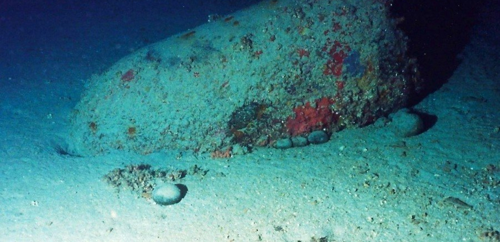 Βίντεο και φωτογραφίες: Πώς είναι σήμερα το ναυάγιο του ένδοξου αντιτορπιλικού «Ύδρα» - Η ιστορία του Βίντεο και φωτογραφίες: Πώς είναι σήμερα το ναυάγιο του ένδοξου αντιτορπιλικού «Ύδρα» - Η ιστορία του