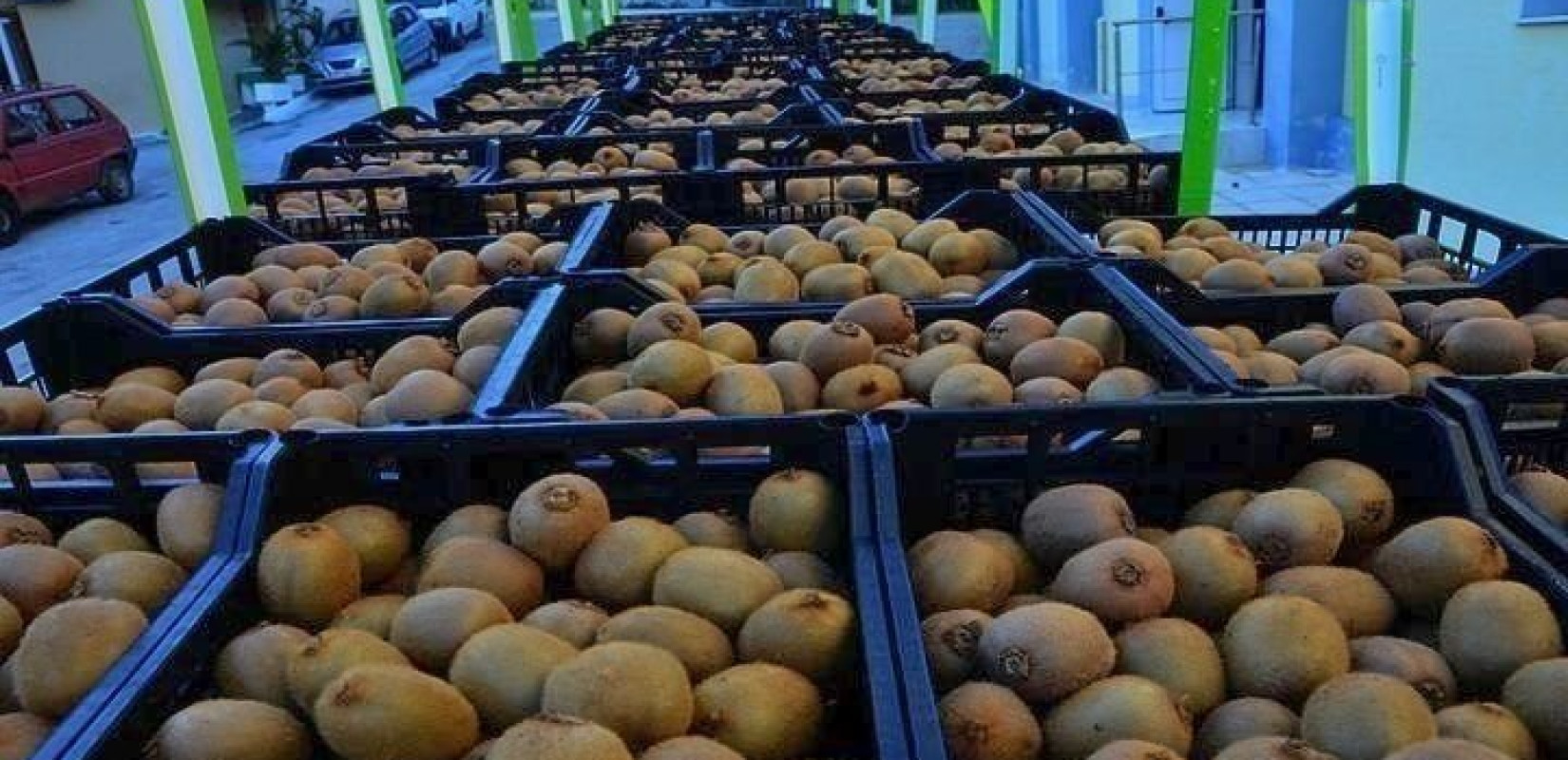 Σημαντικά βήματα για την εξαγωγή του ελληνικού ακτινιδίου στο Βιετνάμ