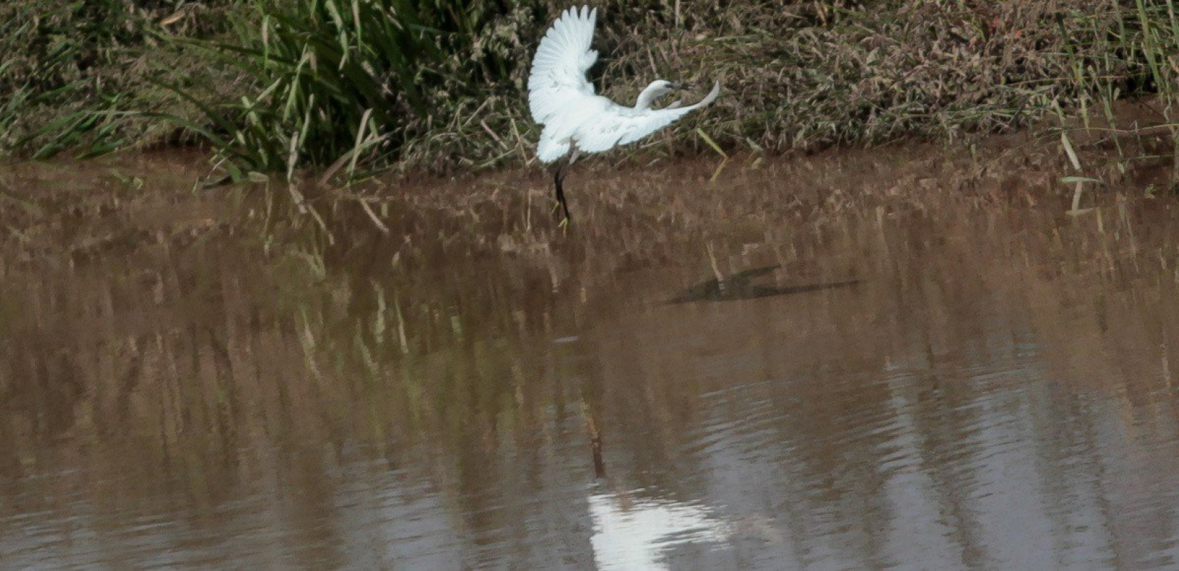 Ιωάννινα: «ΣΟΣ» για τον ποταμό Αώο -  Μελέτη αναδεικνύει σοβαρές οικολογικές επιπτώσεις