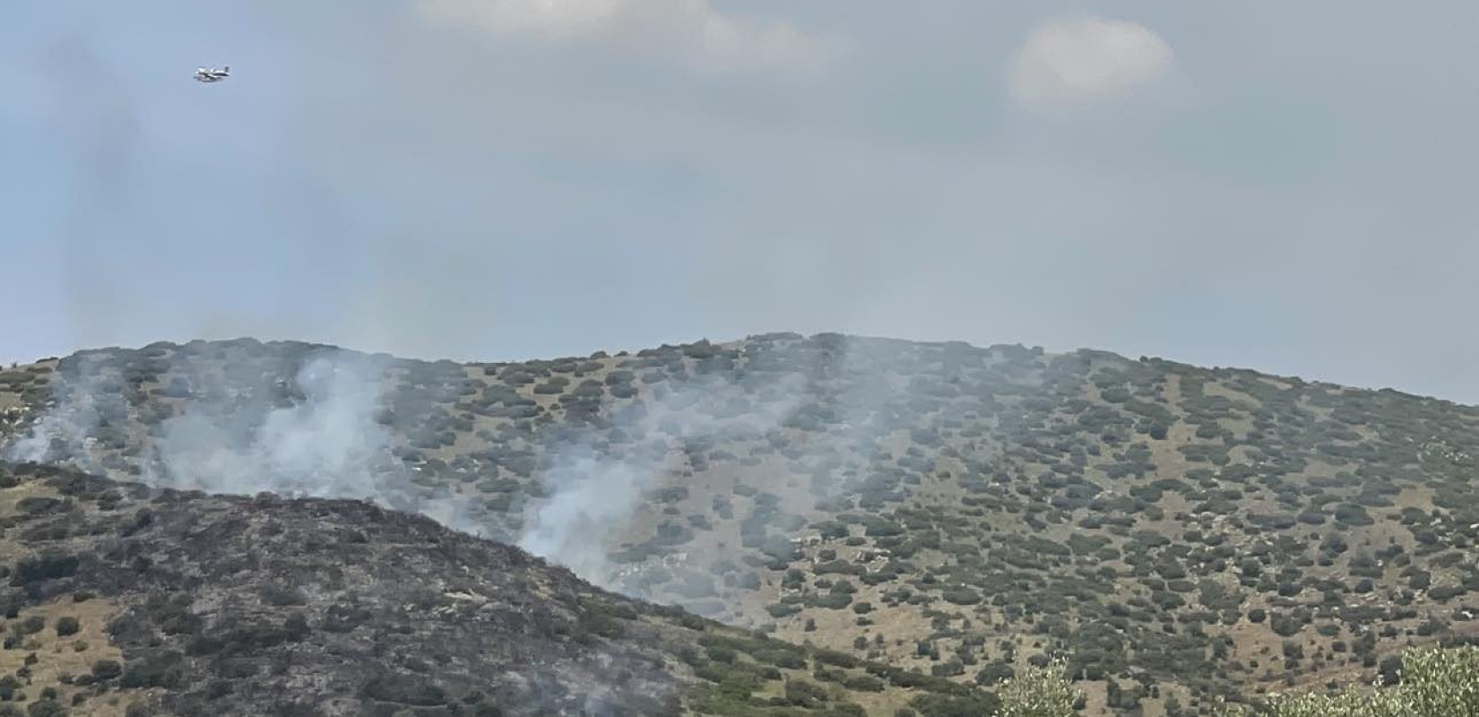 Λάρισα: Υψηλός κίνδυνος πυρκαγιάς σήμερα στη Μαγνησία - Σε επιφυλακή η Περιφέρεια Θεσσαλίας