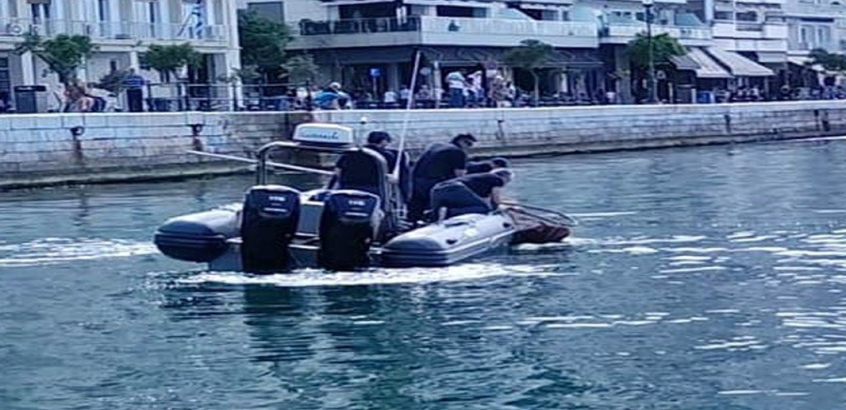 Θεσσαλονίκη: Διάσωση χελώνας από το λιμενικό στην παλιά παραλία Θεσσαλονίκη: Διάσωση χελώνας από το λιμενικό στην παλιά παραλία