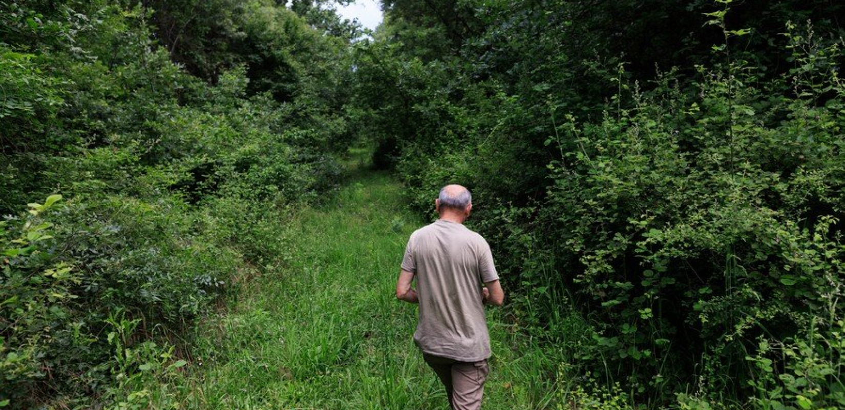 Χαλκιδική: Απαγόρευση κυκλοφορίας σε ισχύ την Παρασκευή Χαλκιδική: Απαγόρευση κυκλοφορίας σε ισχύ την Παρασκευή