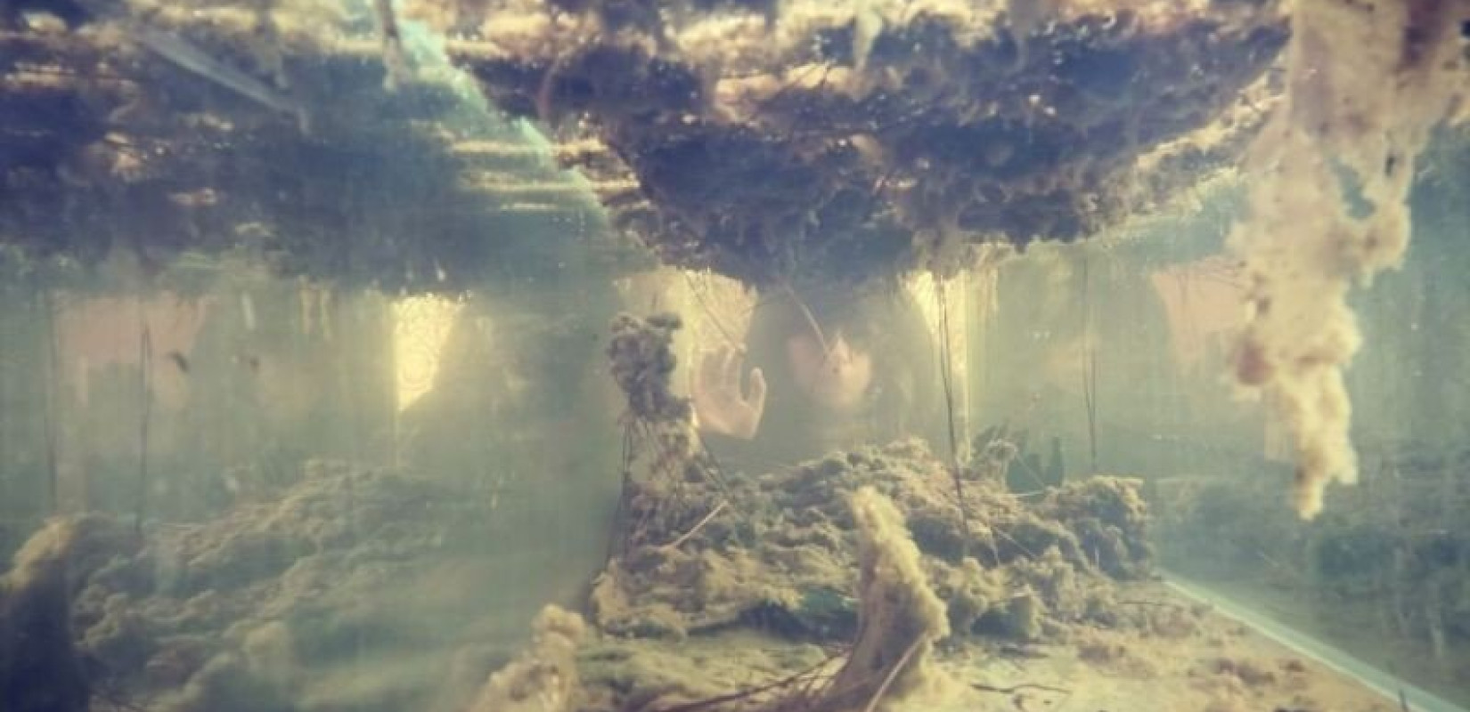  «Επόμενη Στάση: Απολυμαντήρια» - Μία περιπατητική δράση στην Καλαμαριά ξυπνά «φαντάσματα» του παρελθόντος