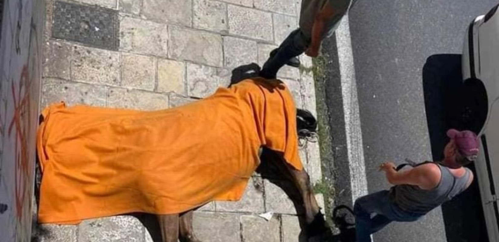 Νεκρό άλογο στην Κέρκυρα: Καταγγελία μάρτυρα ότι ο 80χρονος αμαξάς μαστίγωνε το άτυχο ζώο προτού πεθάνει (βίντεο) Νεκρό άλογο στην Κέρκυρα: Καταγγελία μάρτυρα ότι ο 80χρονος αμαξάς μαστίγωνε το άτυχο ζώο προτού πεθάνει (βίντεο)