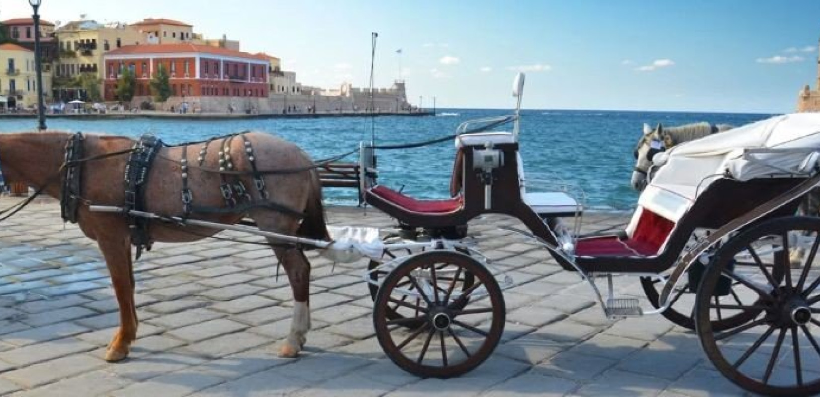 Χανιά: Συγκέντρωση διαμαρτυρίας για την εκμετάλλευση των αλόγων - «Τέλος στις άμαξες της ντροπής» (βίντεο, φωτ.) Χανιά: Συγκέντρωση διαμαρτυρίας για την εκμετάλλευση των αλόγων - «Τέλος στις άμαξες της ντροπής» (βίντεο, φωτ.)