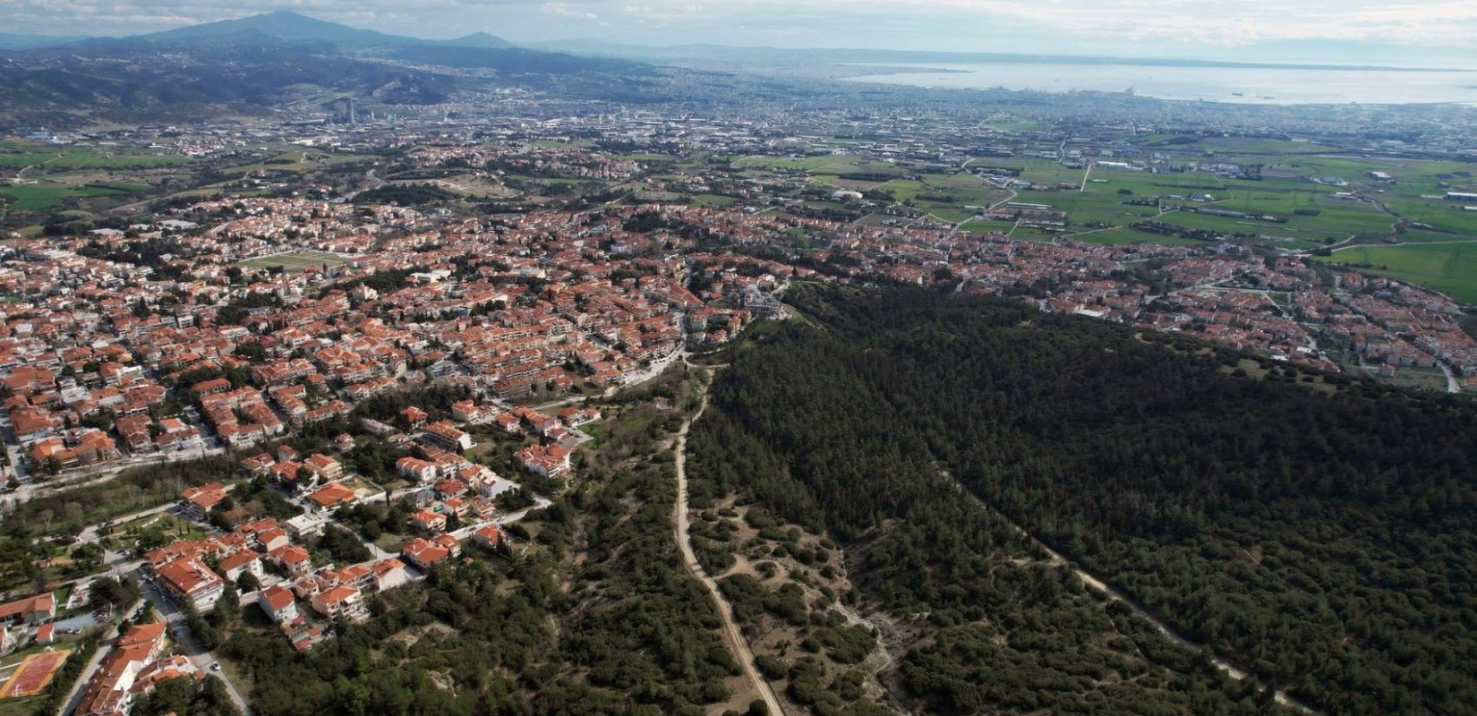 Δ. Ωραιοκάστρου: Διευκρίνιση για τη δήλωση καθαρισμού οικοπέδων σύμφωνα με την Πυροσβεστική Διάταξη 20/2024