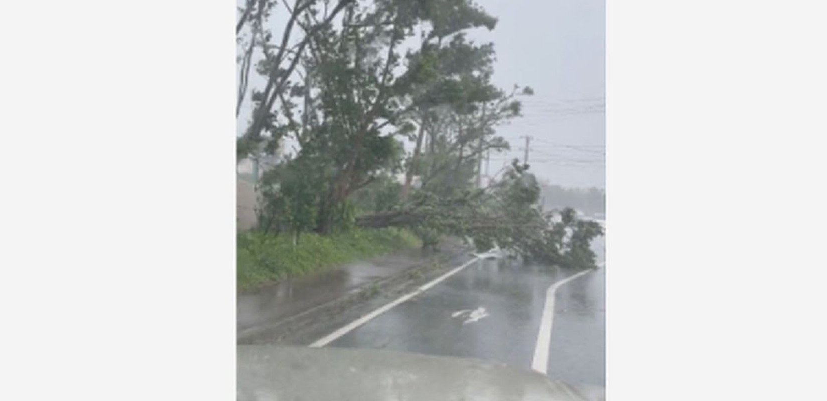 Ιαπωνία: Ένας νεκρός από τον τυφώνα Χανούν - 213.000 νοικοκυριά χωρίς ρεύμα στην Οκινάουα