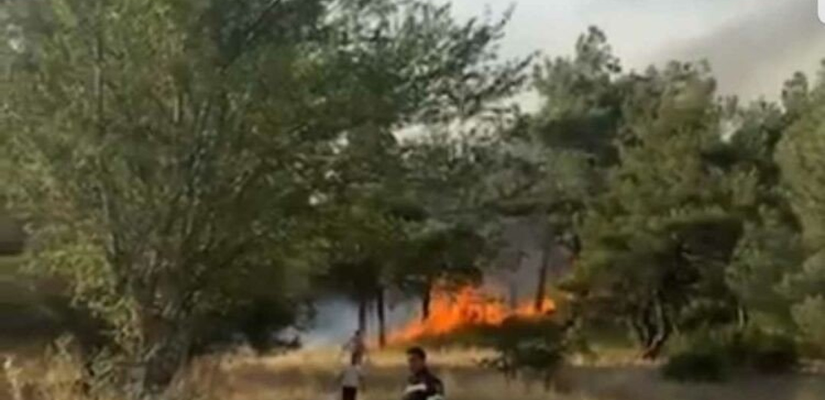 Φωτιά στην περιοχή Μελία στην Αλεξανδρούπολη (φωτ. & βίντεο)
