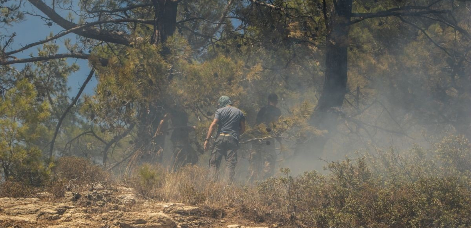 Φρικτή η εικόνα με τα καμμένα στη Ρόδο - Στάχτη μεγάλο κομμάτι της έκτασης Natura (βίντεο)