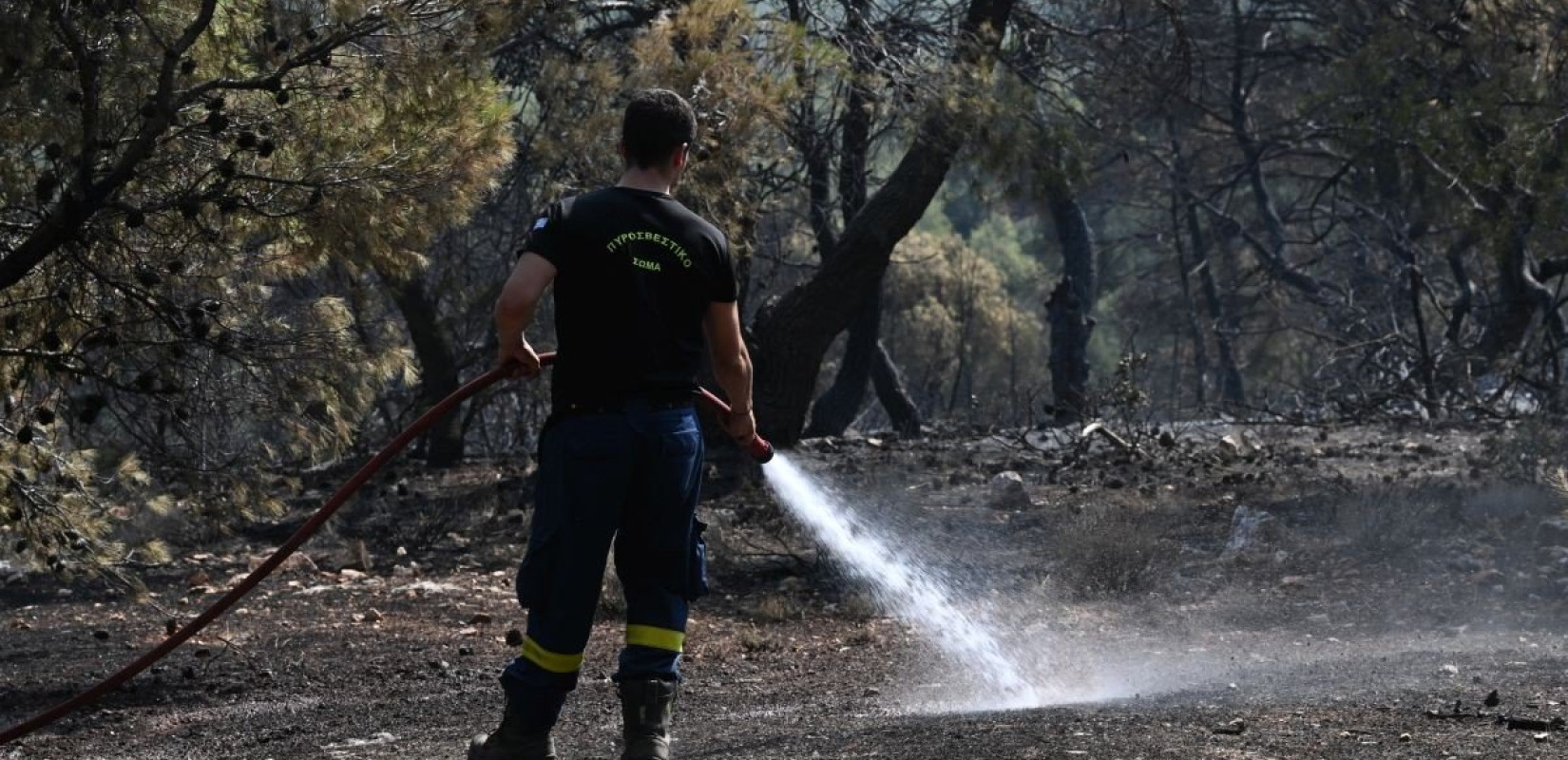 Υπό μερικό έλεγχο η πυρκαγιά στο Δελφίνι Χίου
