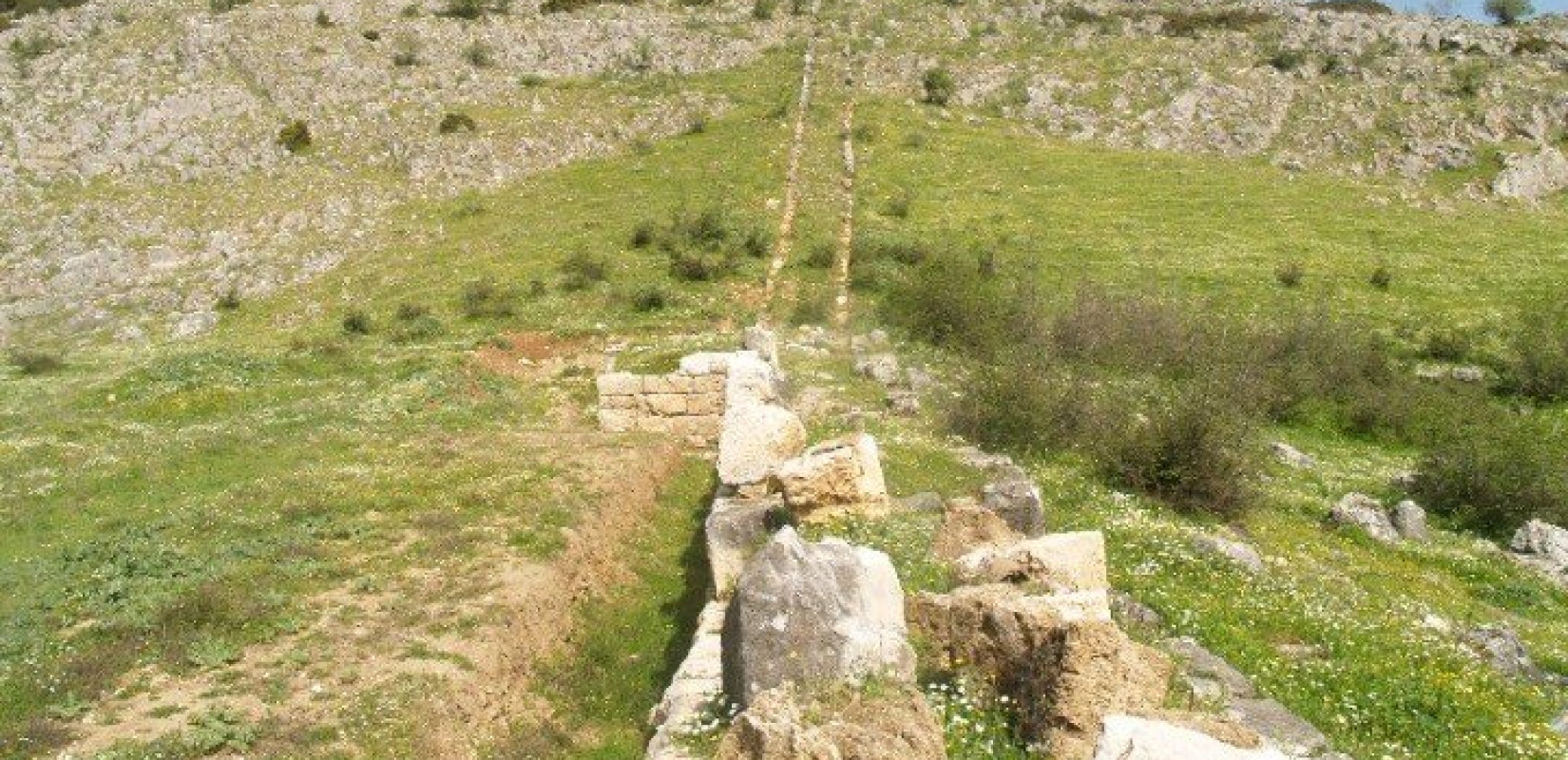 Δημητριακά, όσπρια, φρούτα, περιελάμβανε το νεολιθικό διαιτολόγιο στην περιοχή των Τρικάλων