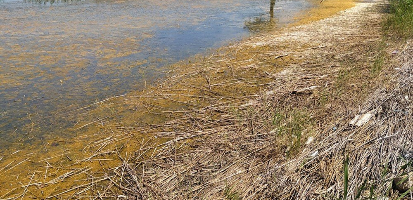 Αφημένη στην τύχη της η λίμνη της Δοϊράνης (φωτ. & βίντεο)