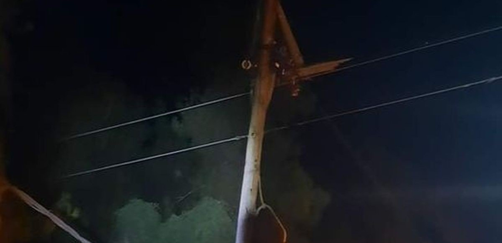 Χαλκιδική: Δέντρο έπεσε σε κολώνα της ΔΕΗ στην Κρυποπηγή (φωτ.)