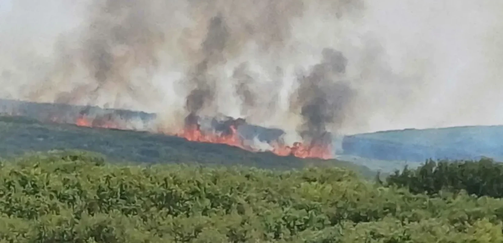 Υπό μερικό έλεγχο η πυρκαγιά στη Μονεμβασιά