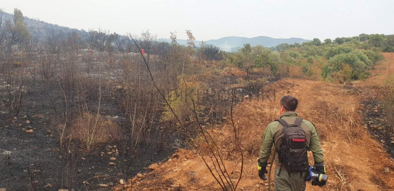 Χαλκιδική: Έσβησε η φωτιά που ξέσπασε το μεσημέρι στον Πολύγυρο (βίντεο)