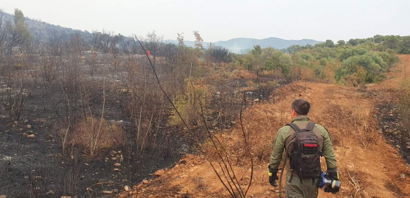 Αναμένεται η απόφαση απαγόρευσης κυνηγιού στον Έβρο	