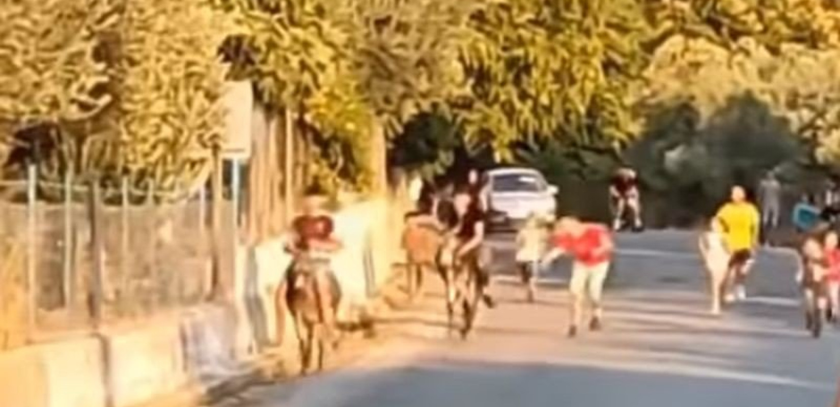 Παρέμβαση εισαγγελέα για τις «γαϊδουροδρομίες» στη Λέσβο