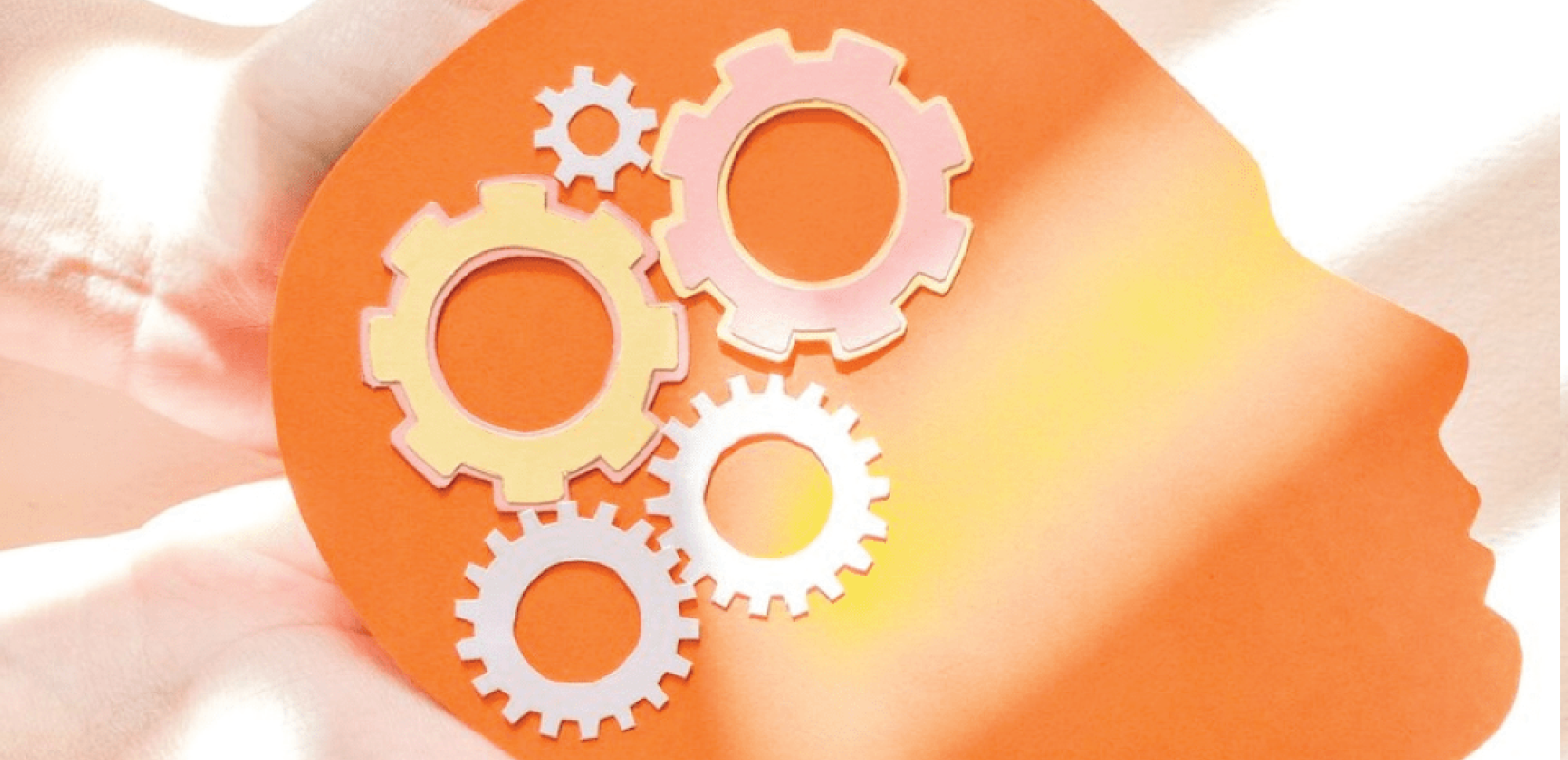 Θεσσαλονίκη: Δωρεάν πρόγραμμα θεραπευτικής άσκησης, για άτομα που πάσχουν από Νευρολογικές παθήσεις