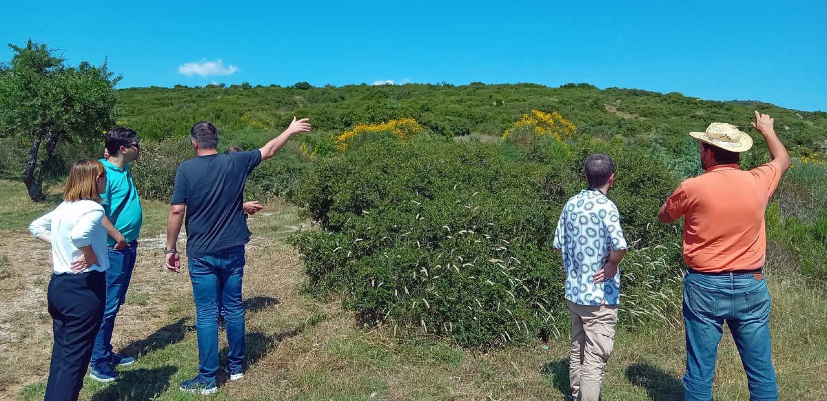 Αναδάσωση στα Πεύκα με 20.000 δέντρα σε συνεργασία με το ΕΚΕΤΑ