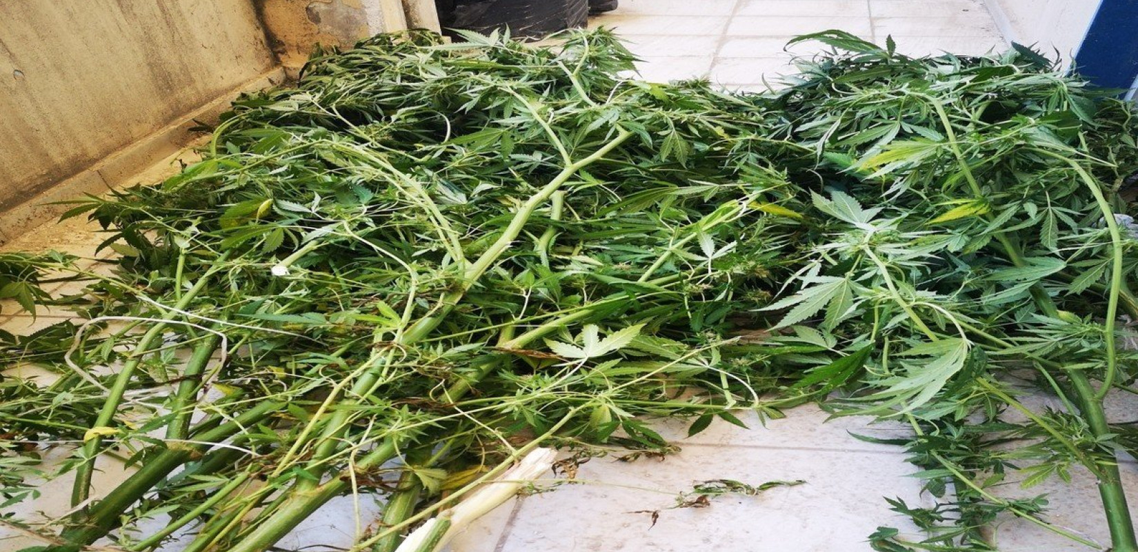 Συλλήψεις για ναρκωτικά σε Σέρρες και Ημαθία Συλλήψεις για ναρκωτικά σε Σέρρες και Ημαθία