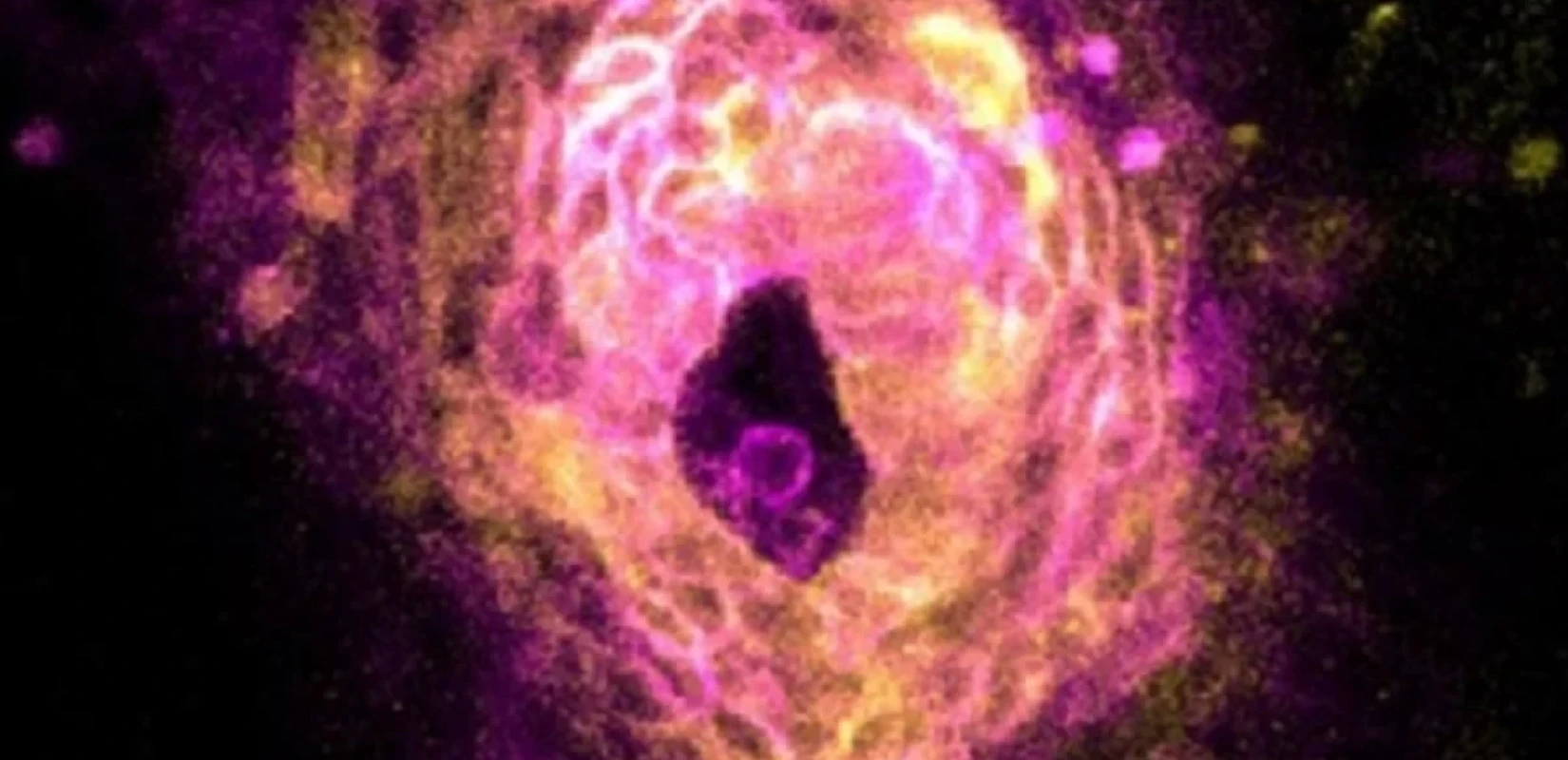 Βίντεο: Καταγράφηκε η στιγμή που η καρδιά αρχίζει να χτυπά Βίντεο: Καταγράφηκε η στιγμή που η καρδιά αρχίζει να χτυπά