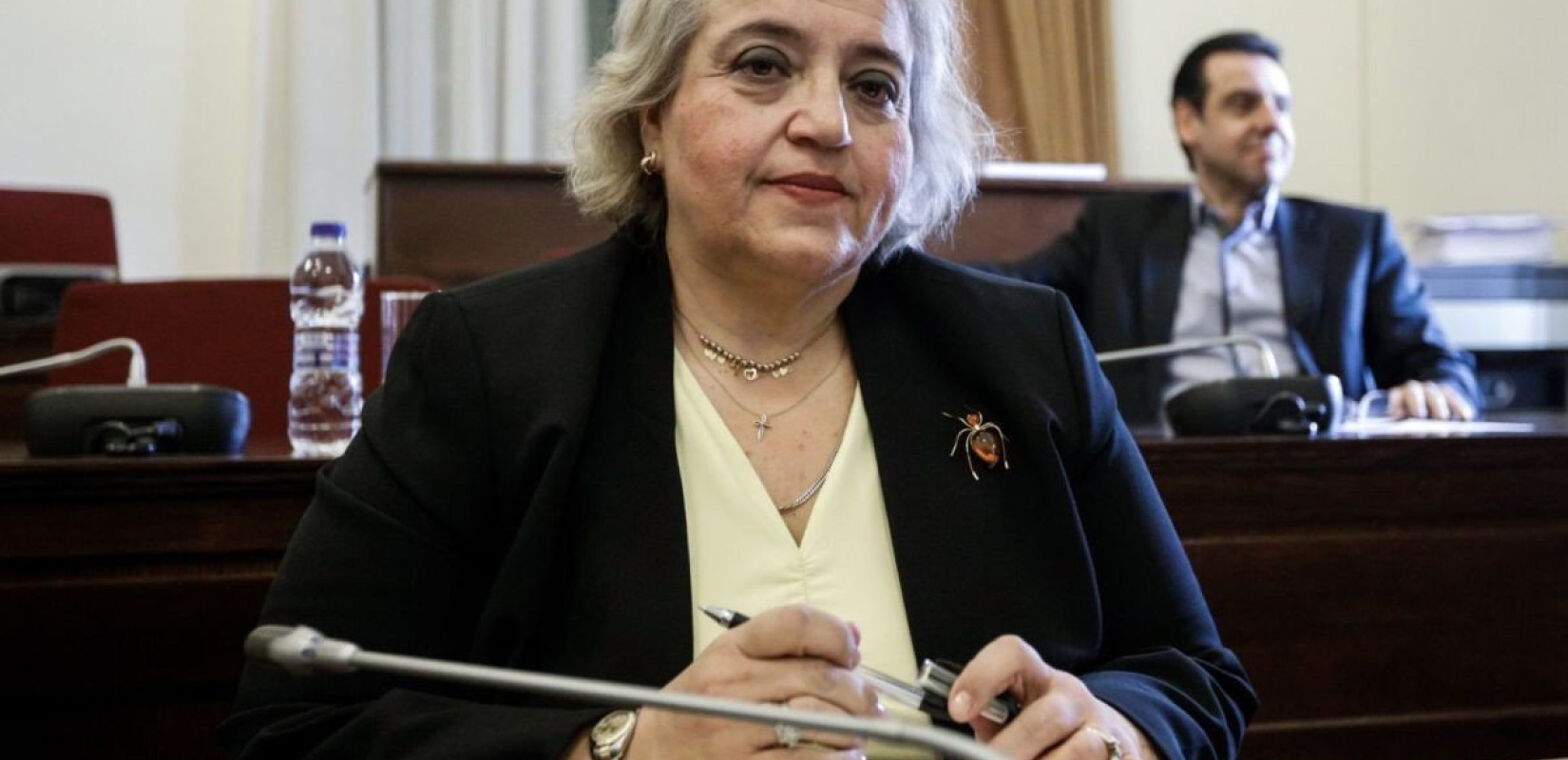 Βουλή - Αλ. Παπαδοπούλου: Αναγκαία η αμυντική κάλυψη των ΗΠΑ μέχρι η Ευρώπη να είναι πραγματικά θωρακισμένη