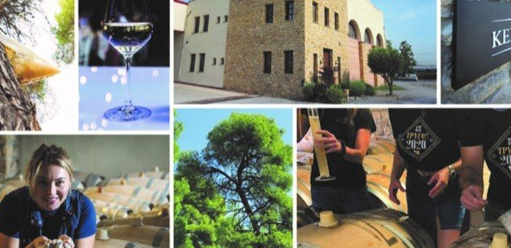 Ερευνητικό έργο από το οινοποιείο ΚΕΧΡΗΣ