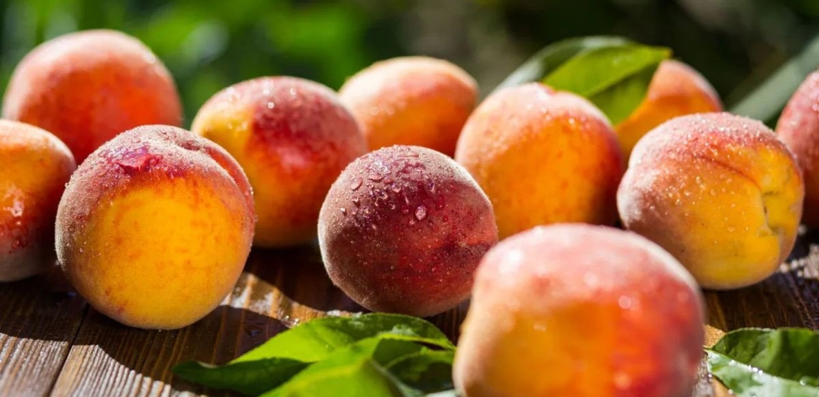 Ημαθία: Την ενίσχυση των παραγωγών πυρηνόκαρπων που υπέστησαν μεγάλες ζημιές ζητούν οι Αγροτικοί Σύλλογοι