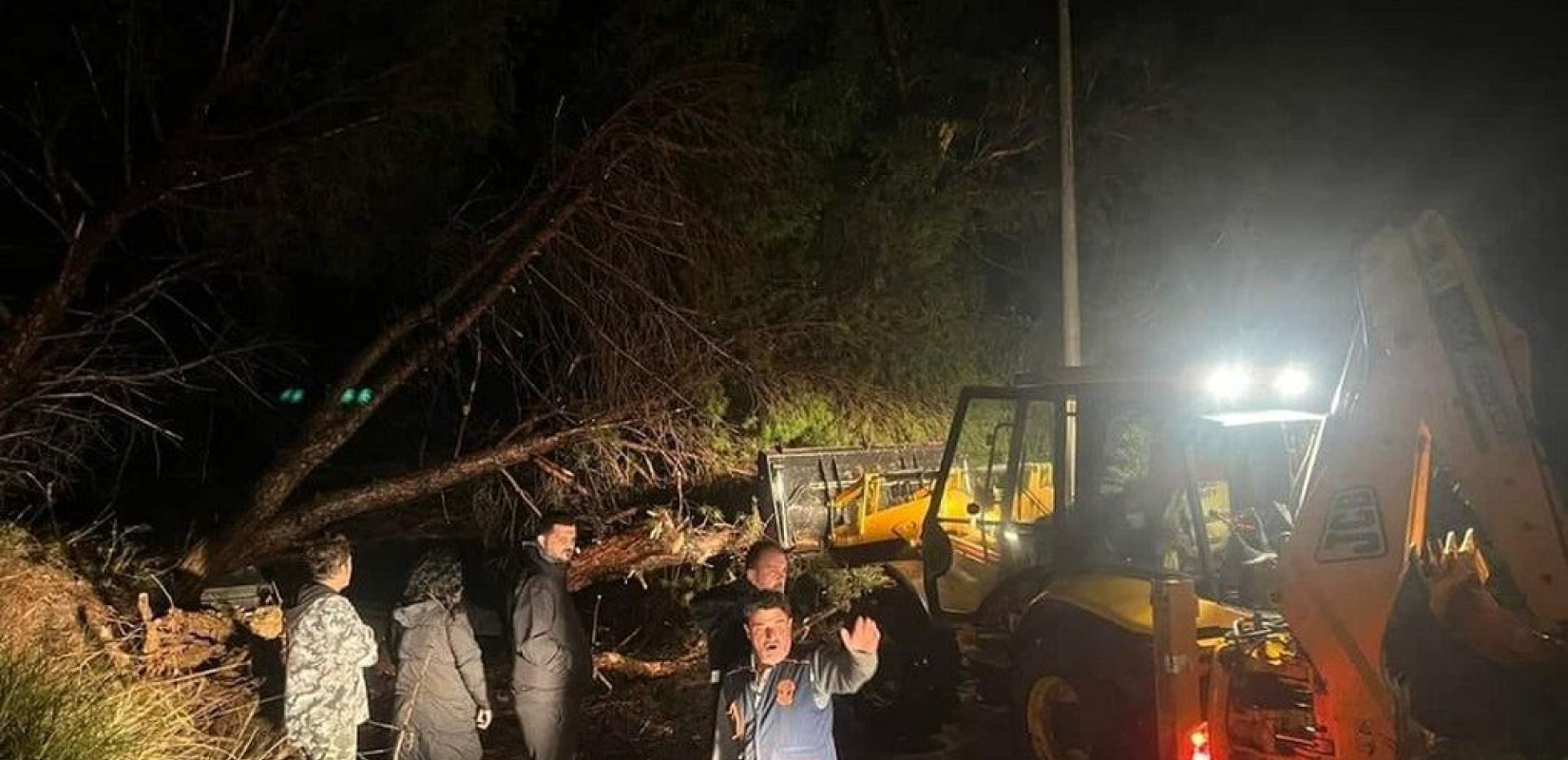 Ανεμοστρόβιλος ξεριζώνει κλαδιά από δέντρα στη Ρόδο - Δείτε βίντεο