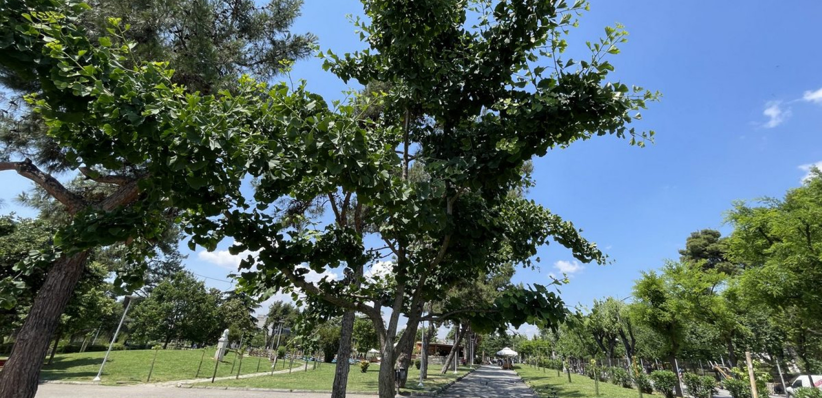 Θεσσαλονίκη: Παραδόθηκε το «ανανεωμένο» πάρκο «Πεδίον του Άρεως» - Φυτεύτηκαν πάνω από 250 δέντρα