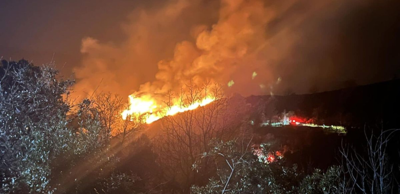 Μεσσηνία: Υπό έλεγχο η φωτιά στο Βασιλίτσι -  Yπόνοιες για εμπρησμό